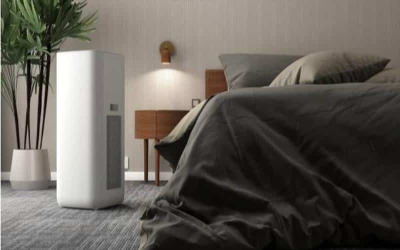 Elevating Indoor Living The Ultimate Fusion of Dehumidification and Air Purification