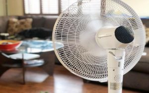 Know How To Choose The Best Pedestal Fan: Price, Performance & More