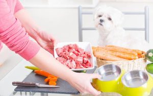 Simple Ways to Improve Your Dog’s Meals
