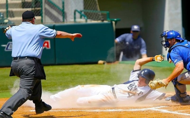 Baseball Fans