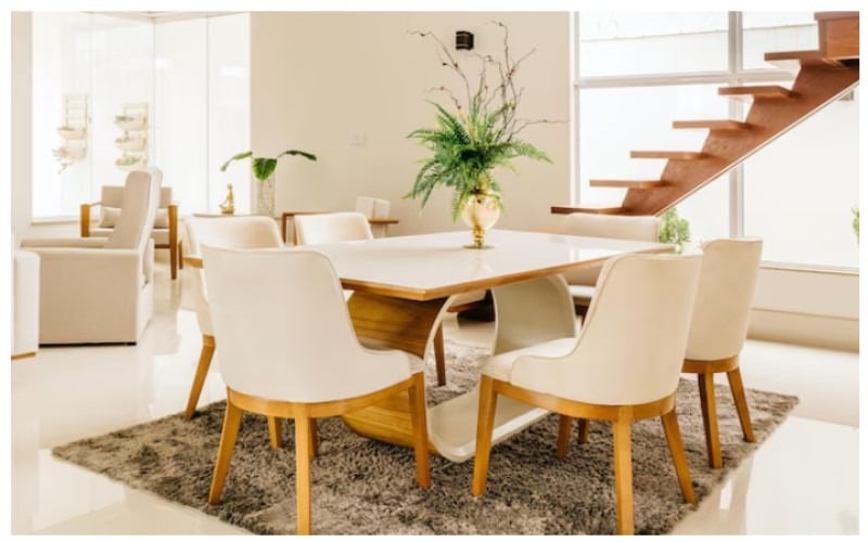 Stylish Dining Chairs