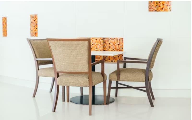 Stylish Dining Chairs