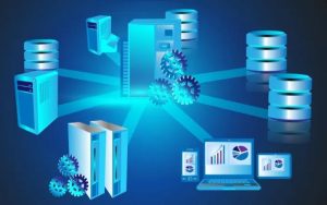 How Operating Systems Support Database Management Systems: An Inside Look