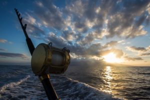 The best diving and fishing spots in Panama and Central America