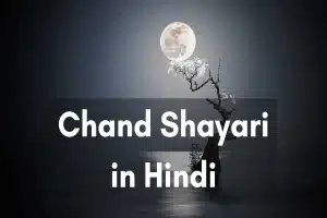 Exploring the Rich World of Hindi and English Shayari