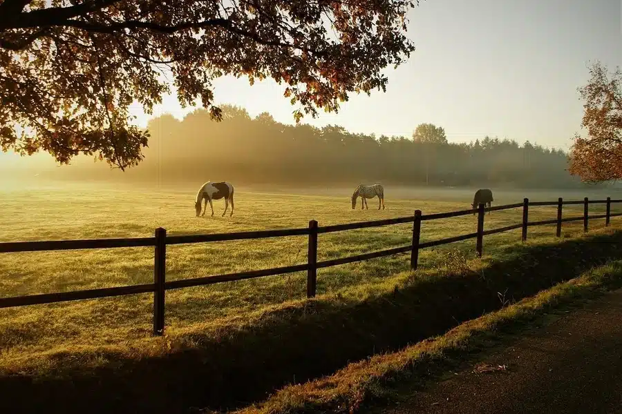 Owning Rural Property