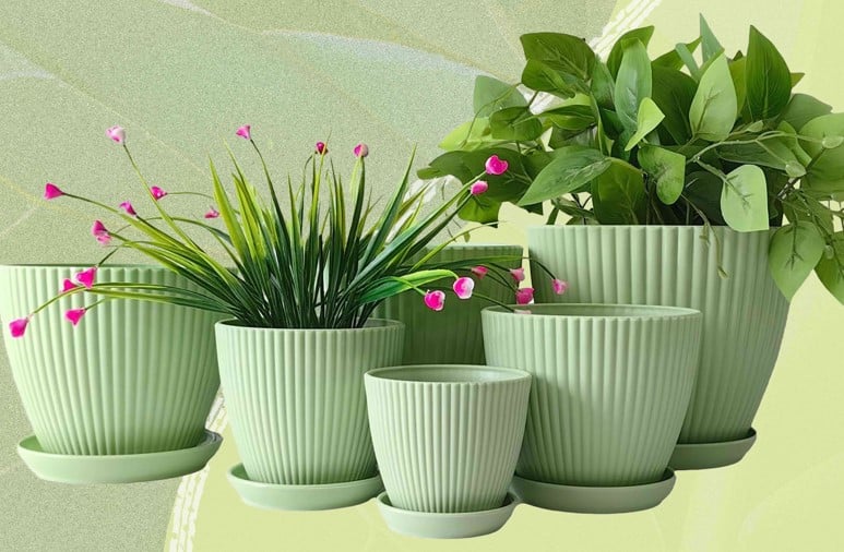 Top Indoor Planters