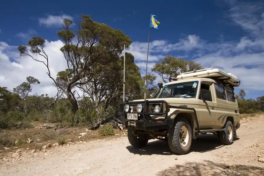Bull Bars Perform
