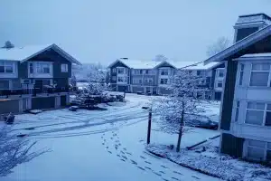 Top 5 Ways to Prevent Winter Snow Removal Damage in Langley Residential Communities