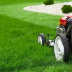 Lawn Care Strategies That Keep Yards Thriving in Carlisle