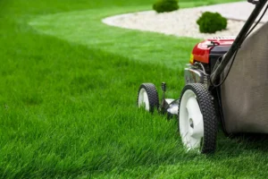 Lawn Care Strategies That Keep Yards Thriving in Carlisle
